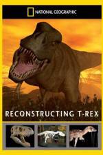 Watch National Geographic Dinosaurs Reconstructing T-Rex4/10/2010 9Movies