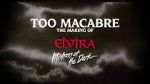 Watch Too Macabre: The Making of Elvira, Mistress of the Dark 9Movies