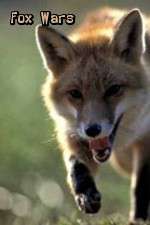 Watch Fox Wars 9Movies