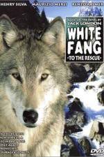 Watch Zanna bianca alla riscossa 9Movies