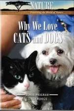 Watch Why We Love Cats And Dogs 9Movies