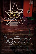 Watch Big Star: Nothing Can Hurt Me 9Movies