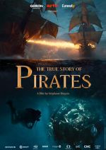 Watch The True Story of Pirates 9Movies