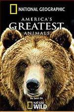 Watch America's Greatest Animals 9Movies