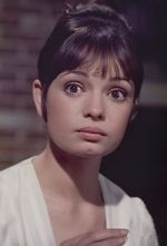 Watch Gidget Grows Up 9Movies