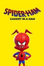 Watch Spider-Ham: Caught in a Ham 9Movies