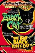 Watch The Black Cat 9Movies