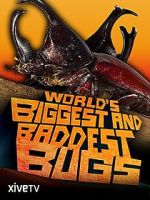 Watch World\'s Biggest and Baddest Bugs 9Movies