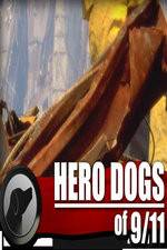 Watch Hero Dogs of 911 Documentary Special 9Movies