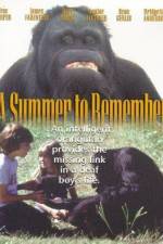Watch A Summer to Remember 9Movies