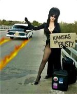 Watch The Elvira Show 9Movies