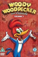 Watch Woody Woodpecker and His Friends 9Movies