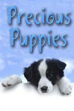 Watch Precious Puppies 9Movies
