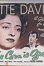 Watch The Corn Is Green 9Movies