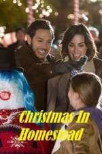 Watch Christmas in Homestead 9Movies