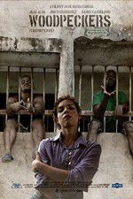 Watch Woodpeckers 9Movies