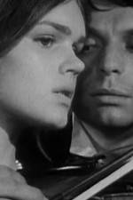 Watch Pavoncello 9Movies