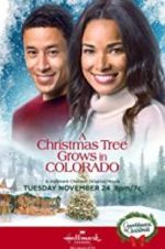 Watch A Christmas Tree Grows in Colorado 9Movies