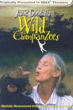 Watch Jane Goodall's Wild Chimpanzees 9Movies