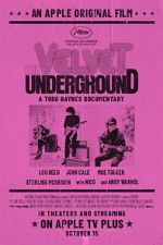 Watch The Velvet Underground 9Movies