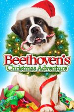 Watch Beethoven's Christmas Adventure 9Movies