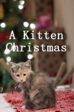 Watch A Kitten Christmas 9Movies
