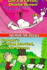 Watch Snoopy's Getting Married Charlie Brown 9Movies