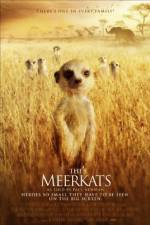 Watch The Meerkats 9Movies