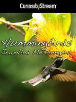 Watch Hummingbirds Jewelled Messengers 9Movies