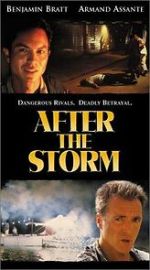 Watch After the Storm 9Movies