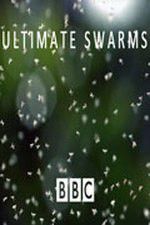 Watch Ultimate Swarms 9Movies