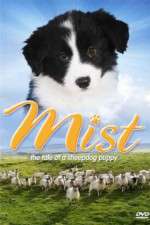 Watch Mist: The Tale of a Sheepdog Puppy 9Movies