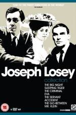 Watch The Big Night 9Movies