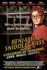 Watch Benjamin Sniddlegrass and the Cauldron of Penguins 9Movies