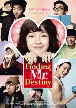 Watch Finding Mr. Destiny 9Movies