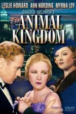 Watch The Animal Kingdom 9Movies