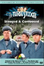 Watch No Census No Feeling 9Movies