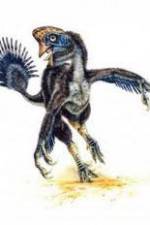 Watch National Geographic Wild : Evolutions Last Living Dinosaur 9Movies