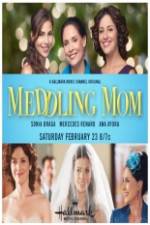Watch Meddling Mom 9Movies