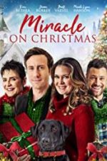 Watch Miracle on Christmas 9Movies