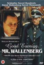Watch Good Evening, Mr. Wallenberg 9Movies
