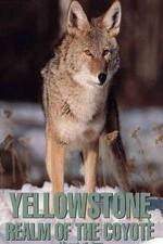 Watch Yellowstone: Realm of the Coyote 9Movies