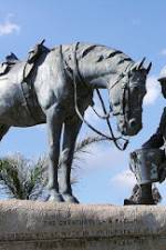 Watch War Horse: The Real Story 9Movies