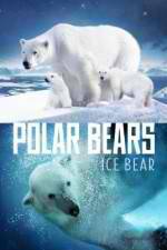 Watch Polar Bears Ice Bear 9Movies