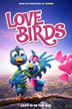Watch Love Birds 9Movies
