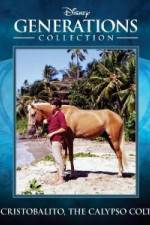 Watch Cristobalito the Calypso Colt 9Movies