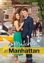 Watch A Match in Manhattan 9Movies