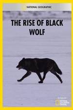 Watch The Rise of Black Wolf 9Movies