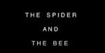 Watch The Spider and the Bee 9Movies