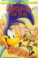 Watch Ready Woolen and Able 9Movies